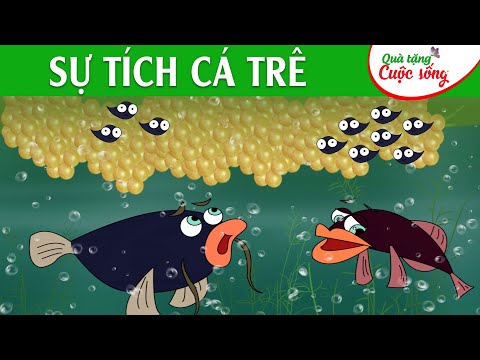 #1 SỰ TÍCH CÁ TRÊ – Phim hoạt hình – Truyện cổ tích – Hoạt hình hay – Cổ tích – Quà tặng cuộc sống Mới Nhất