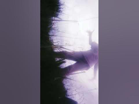 Ксюша лучшая - YouTube
