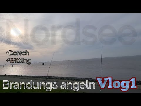 Angeln auf Plattfisch, Wittling und Hornhecht in Eckernförde