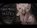 Grey Wolf and Her Mates | Half Witch, Half Werewolf | Dark Fantasy Romance Audiobook | Chapter 1