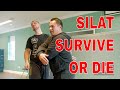 Survive or die silat