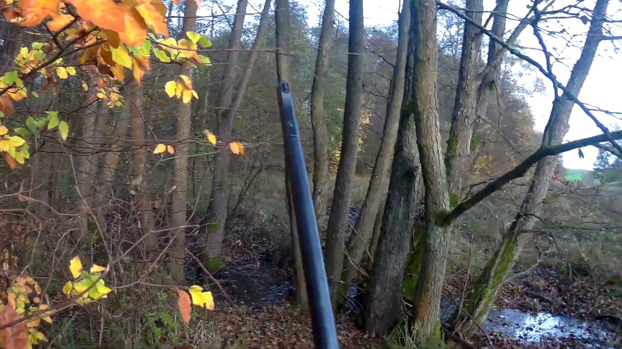 Polowanie zbiorowe 2019, Driven hunt in Poland 2019