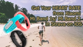 How to connect Xiaomi Mi Band 1s/ Mi Band 2 to Strava on iOS - new!
