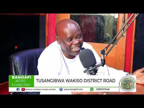 ZIIZINO ENSONGA SSEMASONGA EZAALETA BANGAFI AGRO FORESTRY