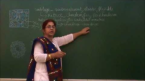 Bio-IX-2-07 Solid connective tissue, By Sunanda Ahuja,   Pradeep Kshetrapal channel