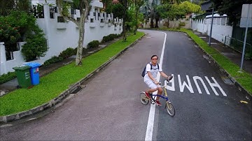 *CRASH* MAVIC PRO【during Active Track】Frontal Obstacle Avoidance failed! (@1.40 timing)