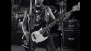 Natter Jack  Bebaskan 