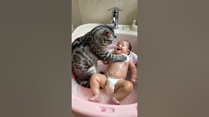 Funny Cat Mind Voice #funny #cat #catvideos #comedy #shortsfeed #shorts #funnyanimal #animals