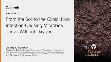 From the Soil to the Clinic - D. Newman - 5/12/21
