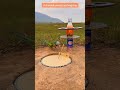 Vulnerable parrot catching trap #comedy #funny #birds