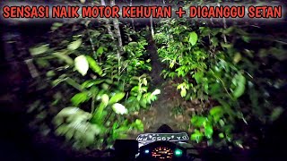 MOGOK~SUARA MINTA KEPALA~NAIK MOTOR SENDIRI KEDALAM HUTAN TENGAH MALAM BAWA DUPA. BANYAK SUARA MARAH