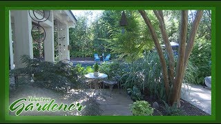 Backyard garden full of interest | Volunteer Gardener