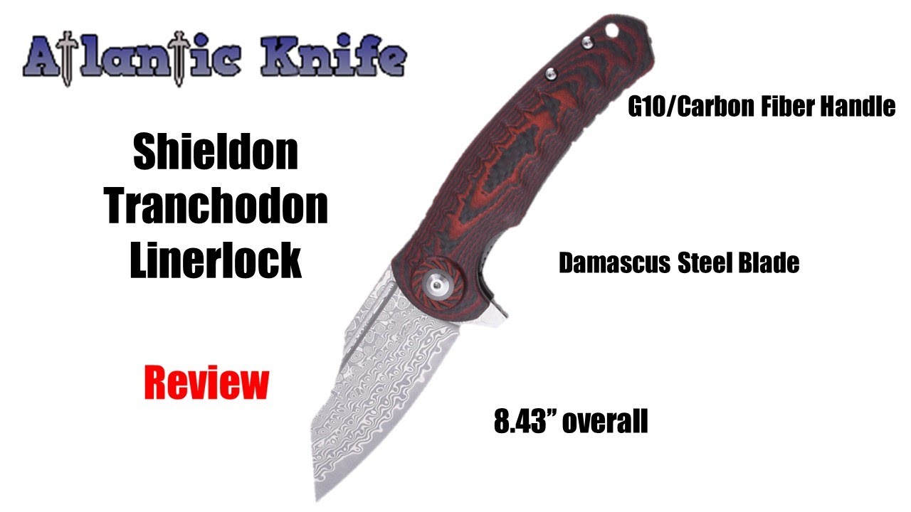 видео , Шилдон