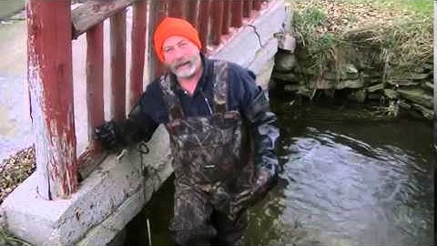 Best Mink Trap Best Mink Trapping  StopThief  C Actual Catch Mink! Sneaky Mink