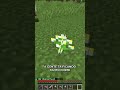 Minecraft, mas as flores dropam itens op #shorts