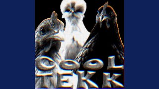 COOL TEKK (Hardtekk Speed Up) - ĐENØISE