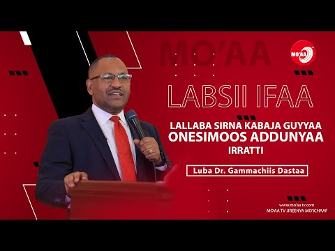 Lallaba Dr Gammachiis Dastaa Guyyaa Onesimoos Addunyaa