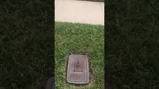 Best Circle Game Ever