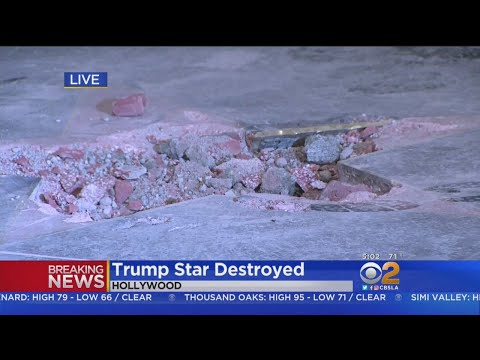 Video: Donald Trump è entrato nella Walk of Fame