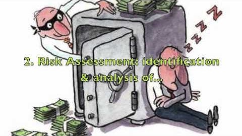 FINAL Screencast Internal Control