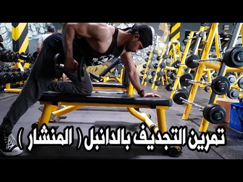 شرح تمرين المنشار التجديف بالدانبل كل ما تحتاج معرفته