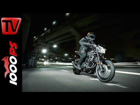 Yamaha MT-03  2016 | Preis, Verfügbarkeit, Leistung Yamaha MT-03  2016 | Preis, Verfügbarkeit, Leistung