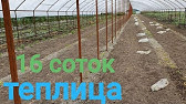 Как выбрать каркас для теплицы | Советы и рекомендации - YouTube