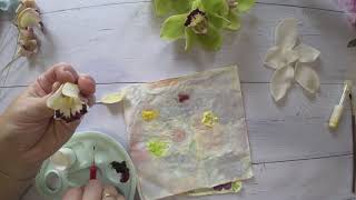 видео: Тонировка орхидеи цимбидиум картинка: Тонировка орхидеи цимбидиум