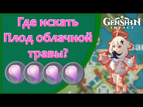 Где собирать Плод облачной травы? | Genshin Impact
