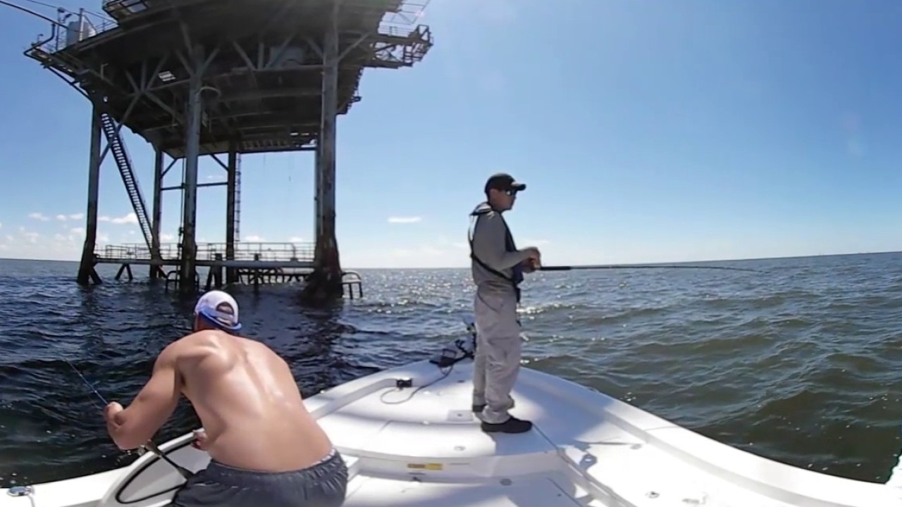Juldom Fish Brandon's Judo Fish! - YouTube