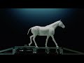 Equinos™ Advanced High Definition 3D Imaging System for Standing Equine Limbs