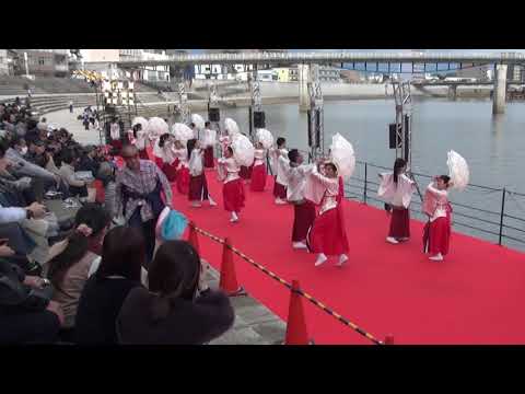 第21回よさこい東海道　葵や一晴