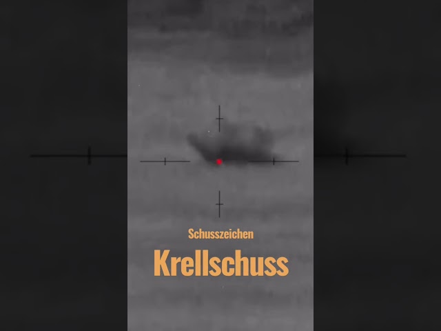 So sieht ein KRELLSCHUSS aus! Vorsicht 🚨 und im Zweifelsfall immer Nachschießen! Waidmannsheil class=