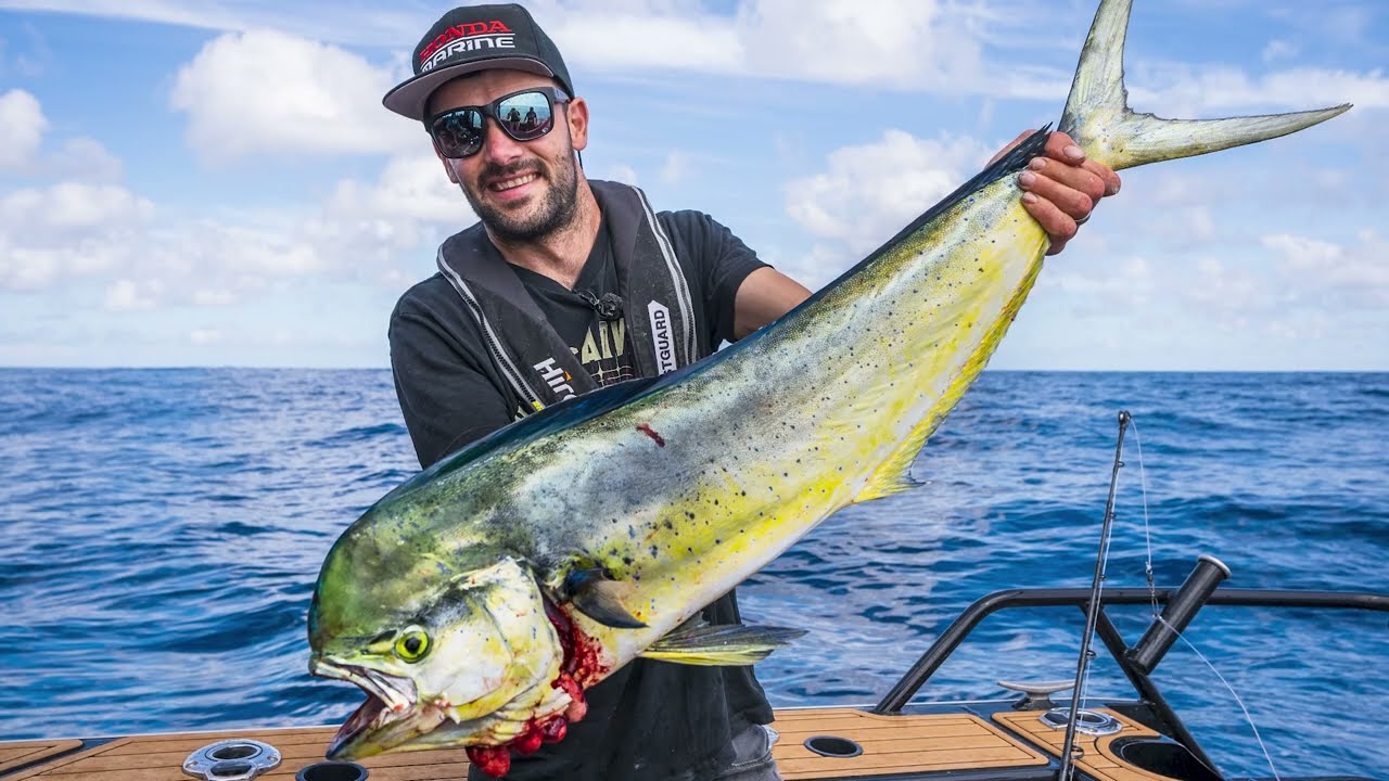 MAHI MAHI time is here! Get one of the best lures for Mahi here. - The Hull  Truth - Boating and Fishing Forum
