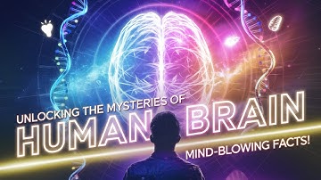 Unlocking the Mysteries of the Human Brain From Creativity to Addiction #humanbrain  #documentary