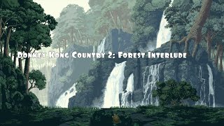 Donkey Kong Country 2: Stickerbrush Symphony - 1 Hour Version