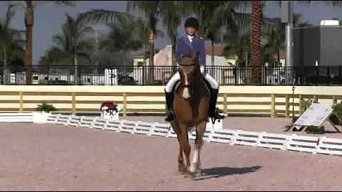 Video of Anna Tillman ridden by Dream Boy 35 from ...