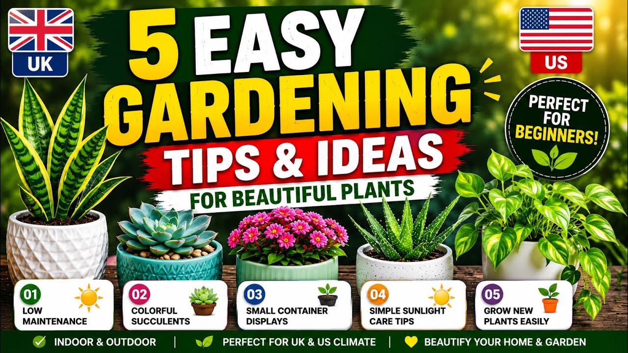     Start Gardening Today! 5 Simple Plant Ideas for Beginners