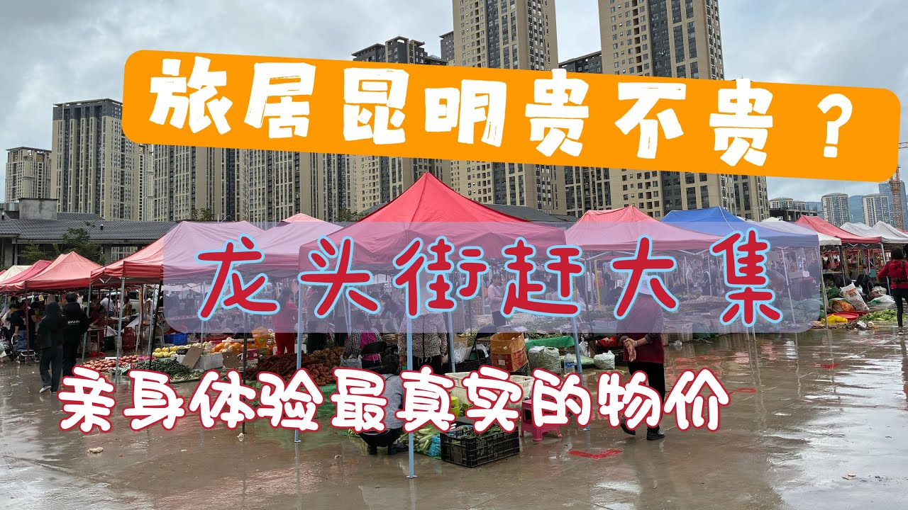 旅居昆明贵不贵？亲身体验最真实的物价｜龙头街赶大集｜昆明人赶龙头街Is Living in Kunming Expensive?Longtou Street Market｜Kunming Life
