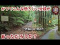 【旧道】大型車通行不能の看板を進むと待っていた謎の分岐…さらに進むともっと恐ろしい分岐が…！⚠⚠⚠