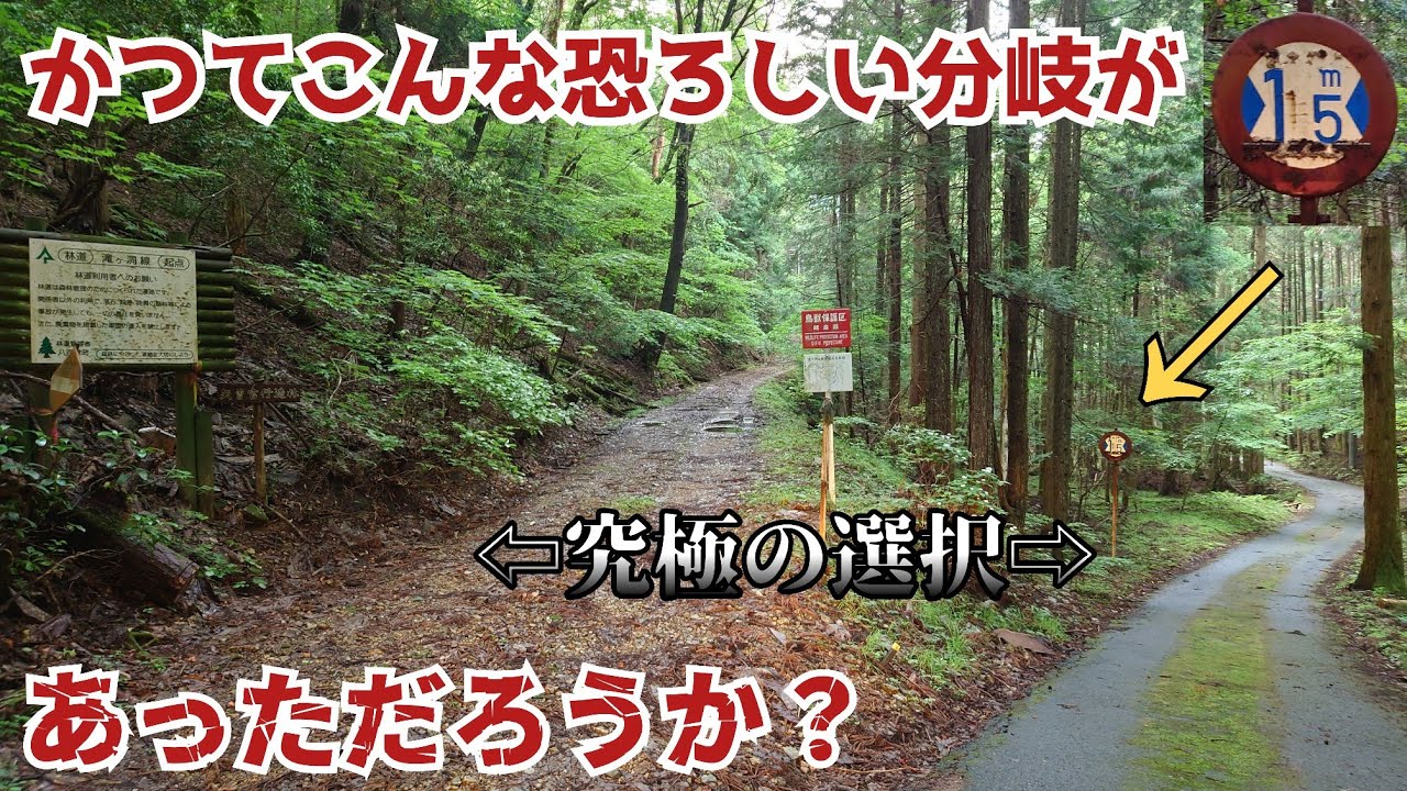 【旧道】大型車通行不能の看板を進むと待っていた謎の分岐…さらに進むともっと恐ろしい分岐が…！⚠⚠⚠