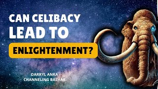Does Celibacy Lead to Enlightenment? Bashar's Perspective on Energy | Channeled by Darryl Anka