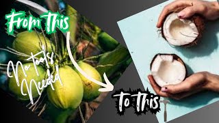Coconut hack – no tools needed! | Ancient coconut cracking technique #coconut #food #howto #stones