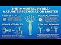 HYDRA : The Science of Cellular Rejuvenation
