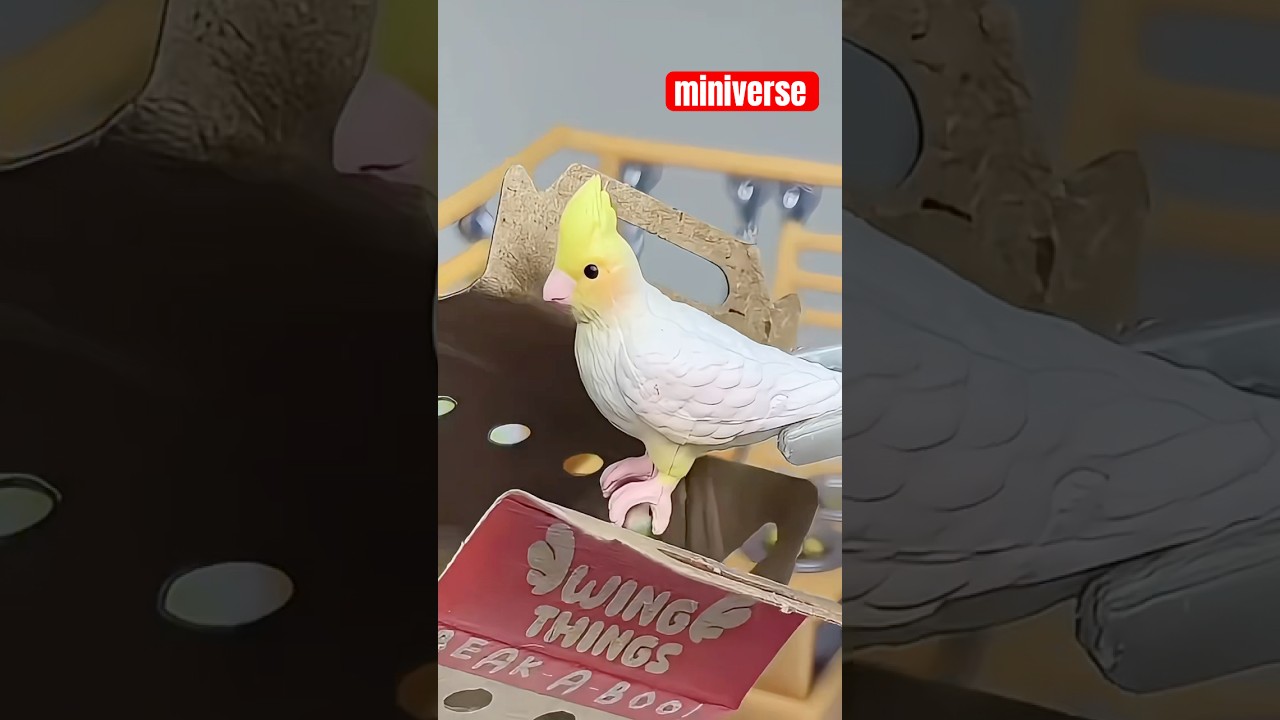 Make a MINI Cockatiel Play Set! ❤️ 