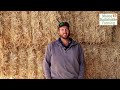 Regenerative ag in the low rainfall mallee