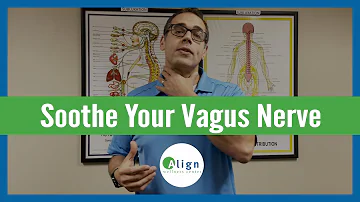3 Best Ways to Stimulate the Vagus Nerve & How to Support Your Vagus Nerve