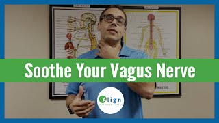 3 Best Ways to Stimulate the Vagus Nerve & How to Support Your Vagus Nerve Wealth