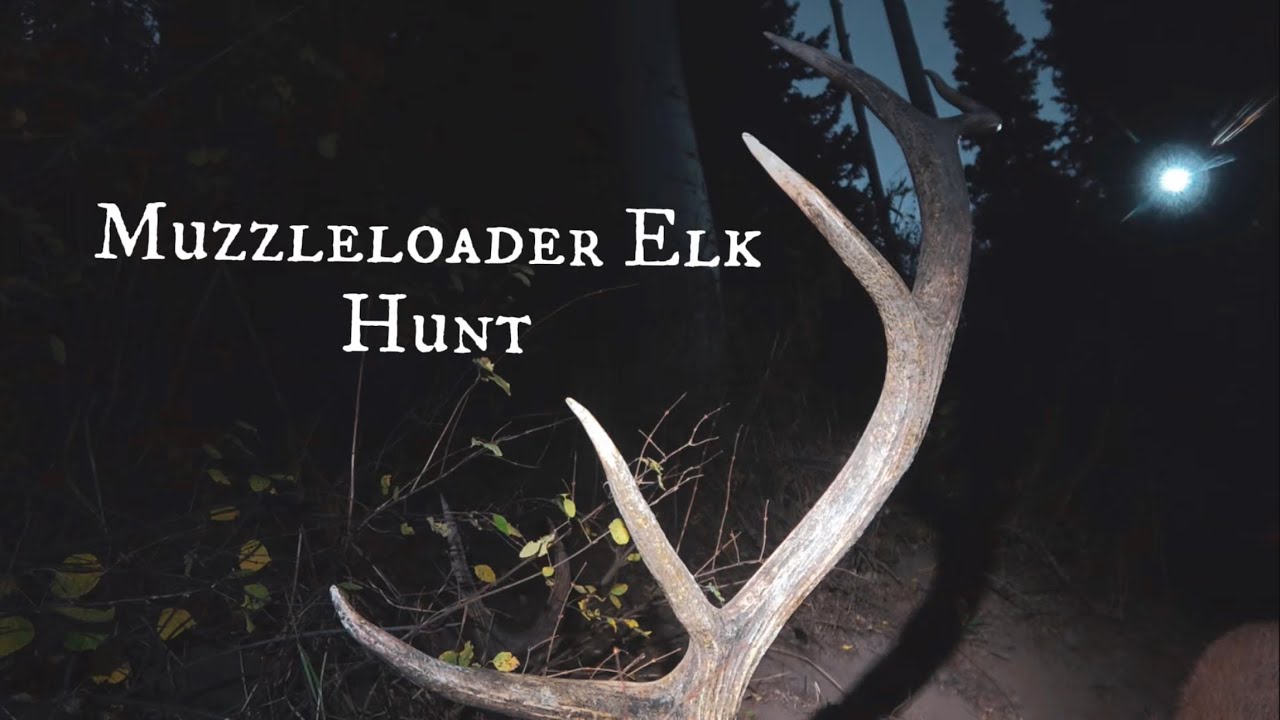 Utah Muzzleloader Elk Hunt 4K Film YouTube utah-muzzleloader-elk-hunt-4k-film-youtube