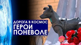 Герои поневоле. Дорога в космос